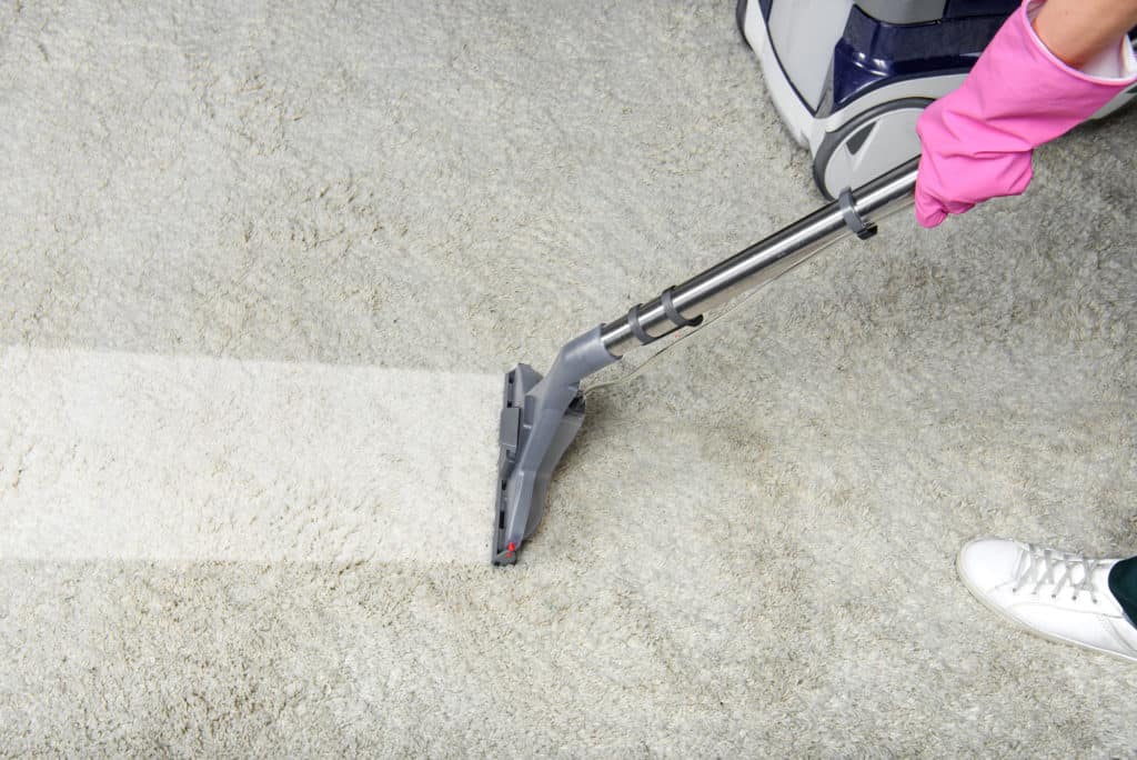 professional carpet cleaners