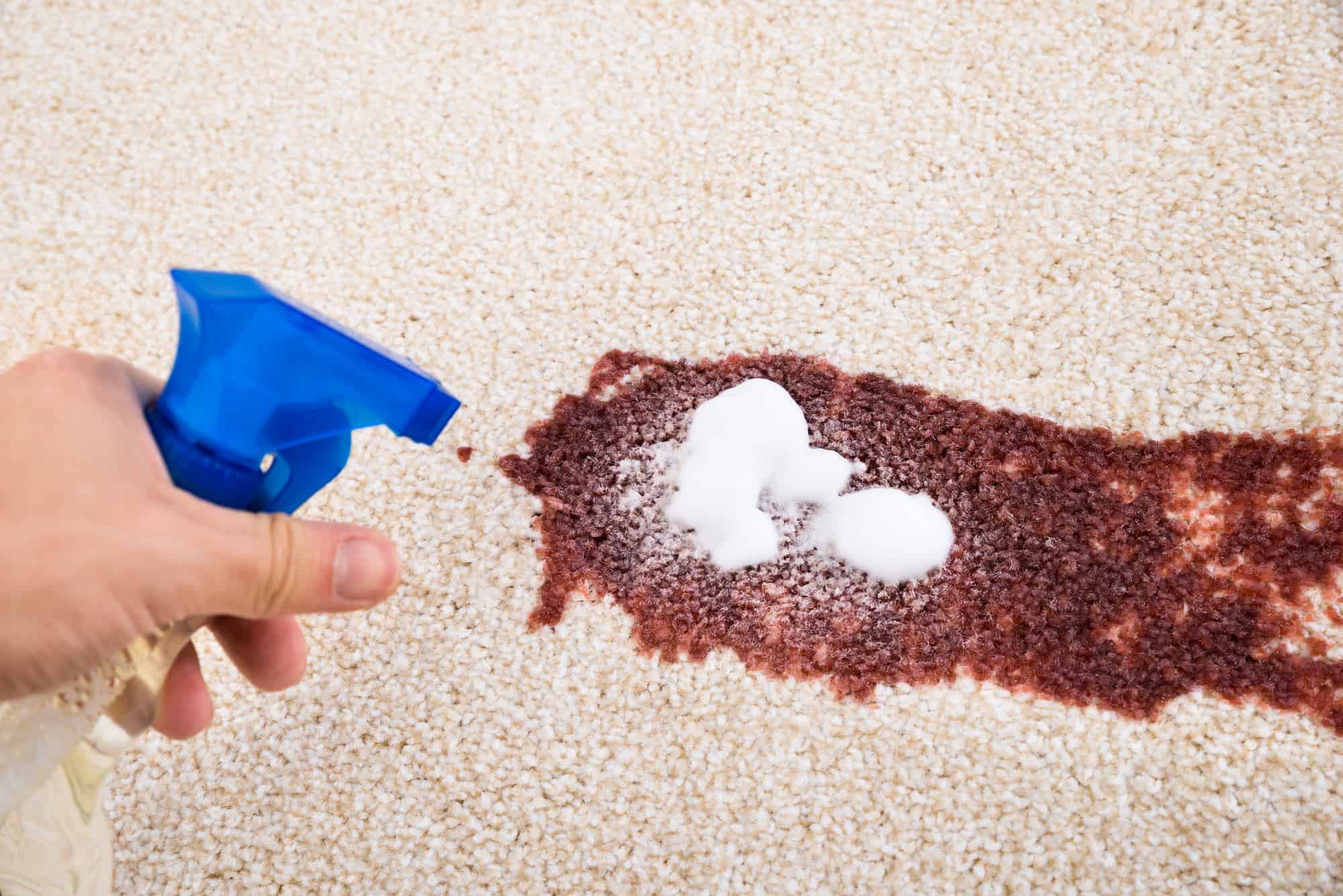 Carpet Stain Treatment